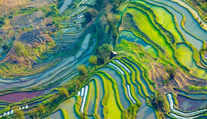 宝妈必备神器：洮南市产品视频拍摄轻松育儿好帮手